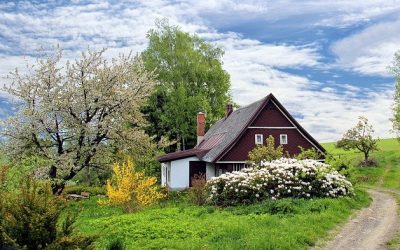 Aménagement extérieur : comment avoir un beau jardin ?