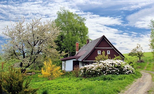 Aménagement extérieur : comment avoir un beau jardin ?